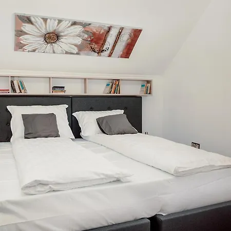 Coolis Sirul Livezii Apartment Brasov